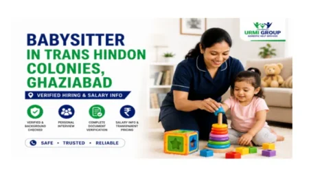 Babysitter in Trans Hindon Colonies, Ghaziabad – verified hiring and salary info