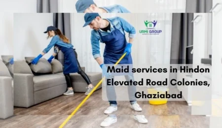Maid services in Hindon Elevated Road Colonies, Ghaziabad