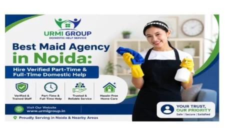Best Maid Agency in Noida
