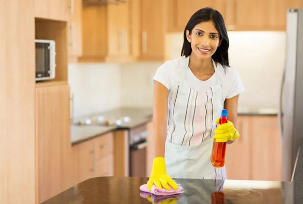 What Falls Outside the Domestic Maid Scope